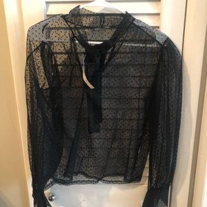 Zara sheer polka dot blouse